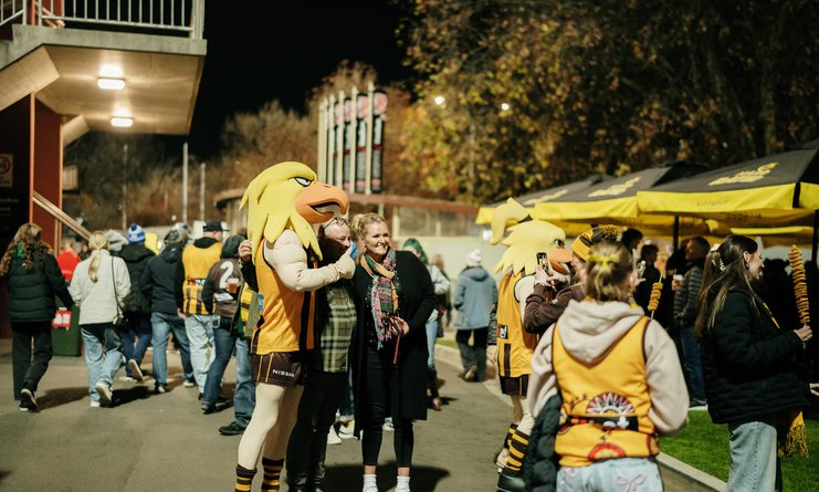 BrandTasmania Hawks 14th June - 31